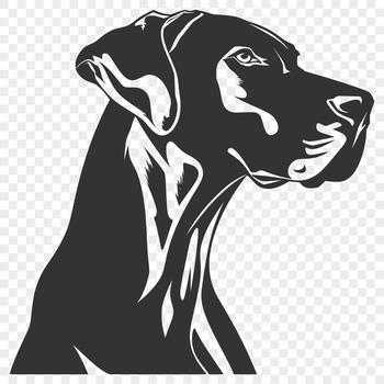 A vector illustration of a Great Dane's head, suitable for digital design projects or printing on various materials.