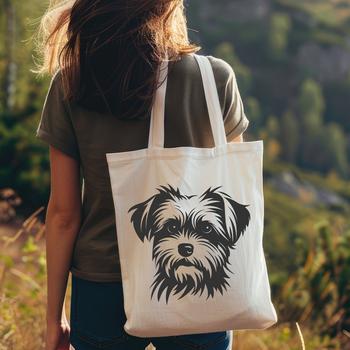 A small dog breed, the Morkie, with its distinctive head shape and features.