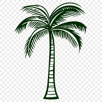 A single palm tree with fronds and trunk, suitable for vector design projects.
