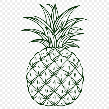 Artistic Pineapple PDF