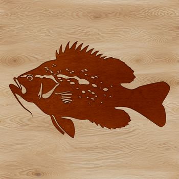 A detailed illustration of a freshwater fish with a rounded head and small mouth.