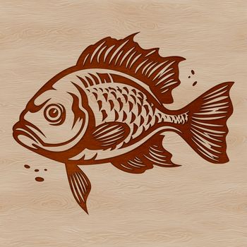 A vector illustration of a freshwater fish with distinctive features.