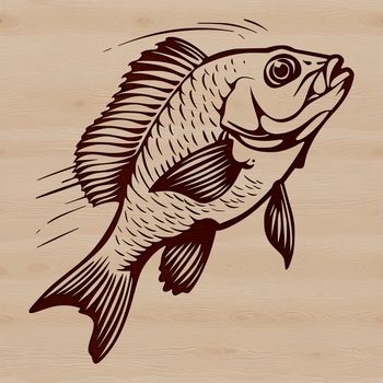 A detailed illustration of a freshwater fish species known as the Crappie, suitable for use in various design contexts.