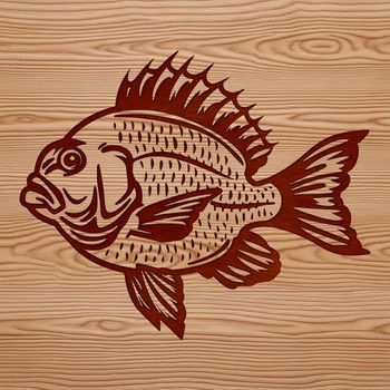A detailed illustration of a freshwater fish species commonly found in North American lakes and rivers.
