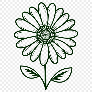 A vector illustration of a daisy flower in bloom.