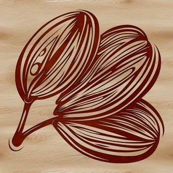 A simple illustration of a single coffee bean, suitable for graphic design.