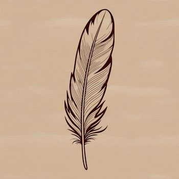 A stylized illustration of a feather made from vector shapes and lines.