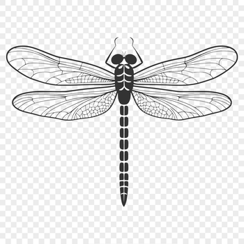 A vector illustration of a dragonfly in various colors with intricate details.