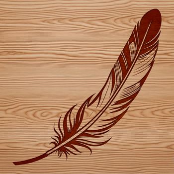 Vector illustration of a feather, suitable for digital design projects.
