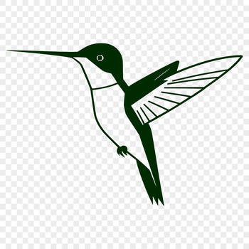 A vibrant, detailed illustration of a hummingbird in flight, suitable for vector design and cutting machine projects.
