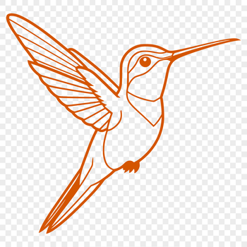 Close-up of a hovering hummingbird's beak, designed as a digital clip art image.