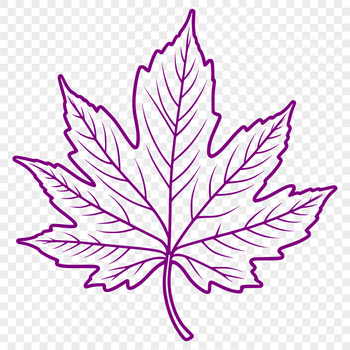 A green, intricately designed leaf with pointed edges and veins, suitable for vector art projects.