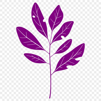 A high-quality vector illustration of a single green leaf with rounded edges.