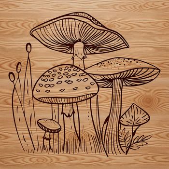An illustration of a mushroom with a cap and stem in vector format.
