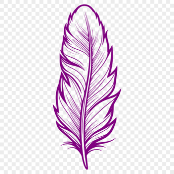 A detailed digital illustration of a feather, created as an SVG file for flexible design applications.
