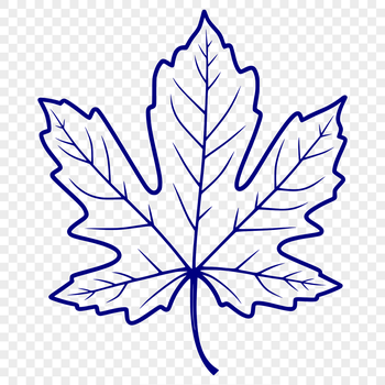 A high-resolution vector graphic representation of a single leaf with realistic texture and shape.