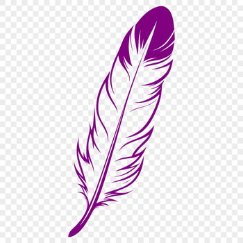 Vector illustration of a single feather with intricate details.