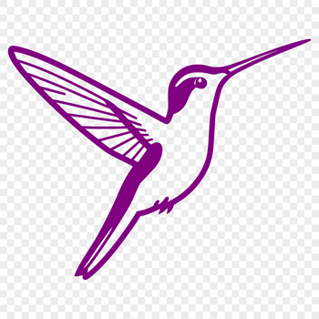 A colorful hummingbird in flight, depicted as vector art for digital designs.