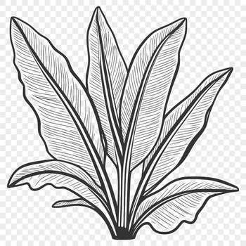 A single green leaf with intricate veins, ideal for vector design and cutting machine projects.