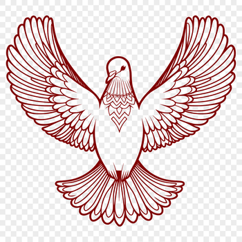 A white bird with smooth features and a gentle expression.