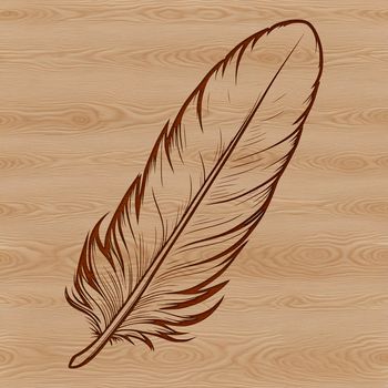 A stylized illustration of a feather, suitable for digital use in various formats such as SVG.