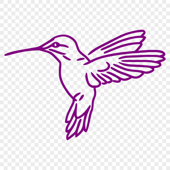 A colorful hummingbird in flight, depicted as a detailed illustration.