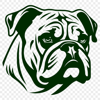 A close-up view of a Bulldog's head, showcasing its distinctive features.