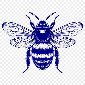 A detailed illustration of a bee from head to wing, suitable for gardening themes.