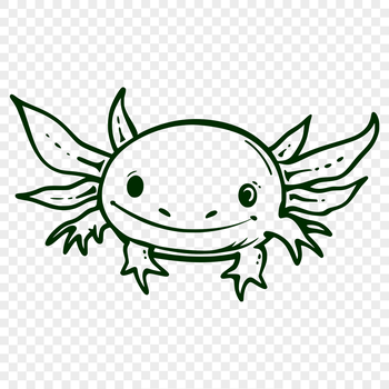 Close-up illustration of a Mexican axolotl's distinctive head features.