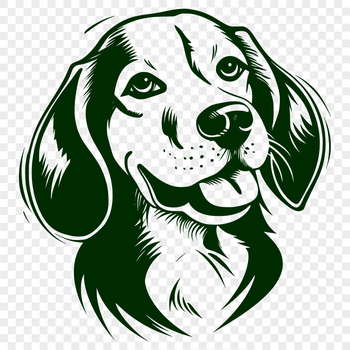 A close-up illustration of a Beagle's head with detailed facial features.