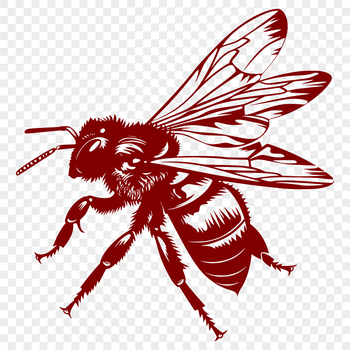 A stylized illustration of a flying insect from above, showing its body and wings in detail.