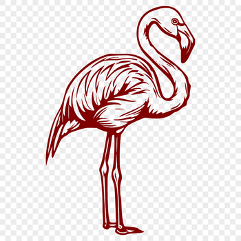 A detailed illustration of a flamingo in full body pose, suitable for vector art and graphic design projects.