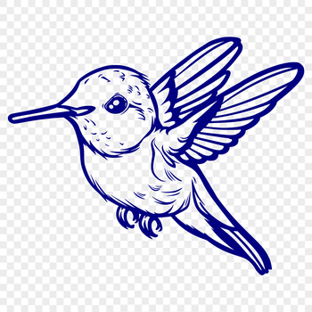A colorful hummingbird in mid-flight, its wings spread wide for maximum lift.