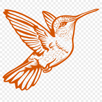 A vector illustration of a hummingbird in flight, showing its full body.