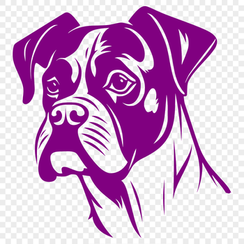 A detailed illustration of a Boxer dog's head with various facial features.