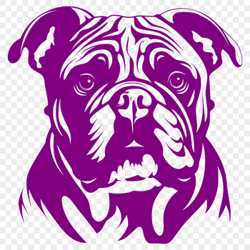 A vector illustration of a Bulldog's head, featuring detailed facial features and texture.