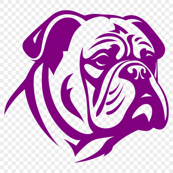A detailed illustration of a bulldog's head with wrinkled skin, including facial features and ears.