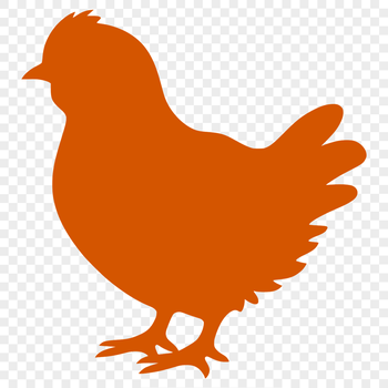 A detailed silhouette of a full-body chicken in simple vector art.