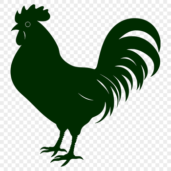 An image featuring a rooster in profile, showcasing its plumage and distinctive characteristics.