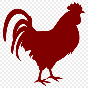 A simple vector illustration of a chicken in full body form, suitable for various design applications.