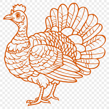 A full-body illustration of a farm animal, specifically a turkey, suitable for various design projects.