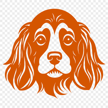 Cocker Spaniel breed illustration in a simple vector design.