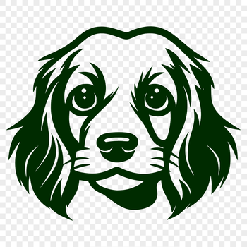 A detailed illustration of a Cocker Spaniel's head and face.