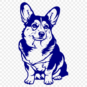 A full-body illustration of a sitting Corgi dog, suitable for vector art designs.