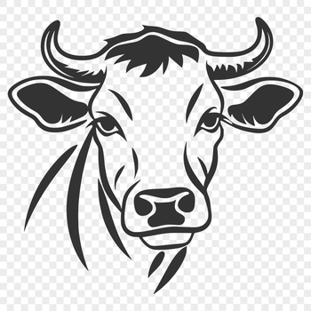 A detailed illustration of a cow's head, suitable for vector designs and cut-out projects.
