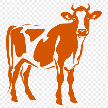 A detailed illustration of a cow from head to hooves.
