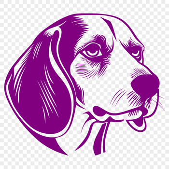 A realistic illustration of a Beagle's head, suitable for vector graphics and digital design.