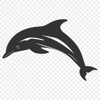 A full-body illustration of a dolphin in the ocean, suitable for vector art design.