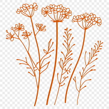 A realistic illustration of a wild flower in bloom, suitable for vector design.