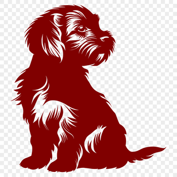 A sitting havanese dog depicted in full body pose.